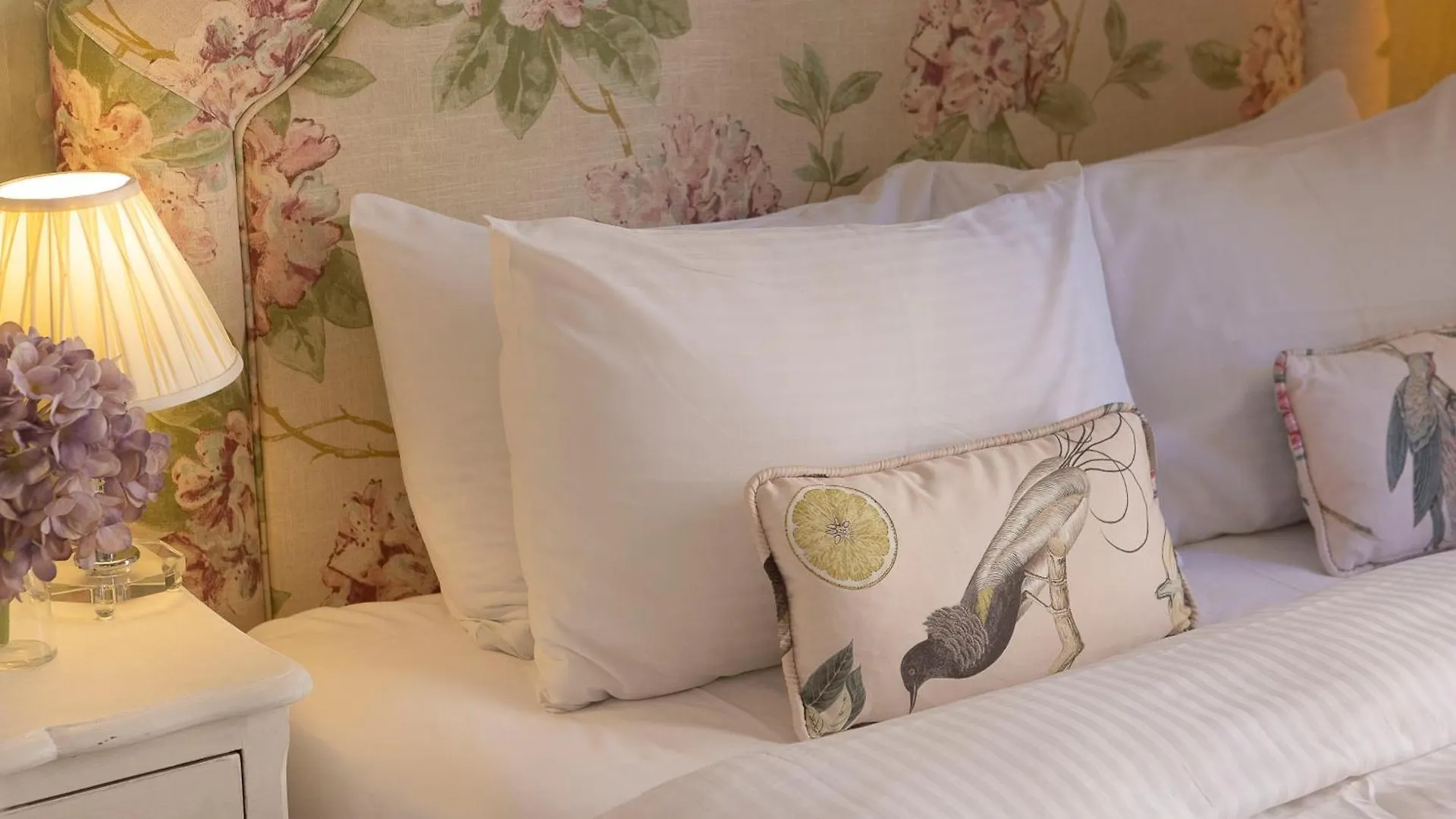 Gatto Perso Luxury Studio Apartments