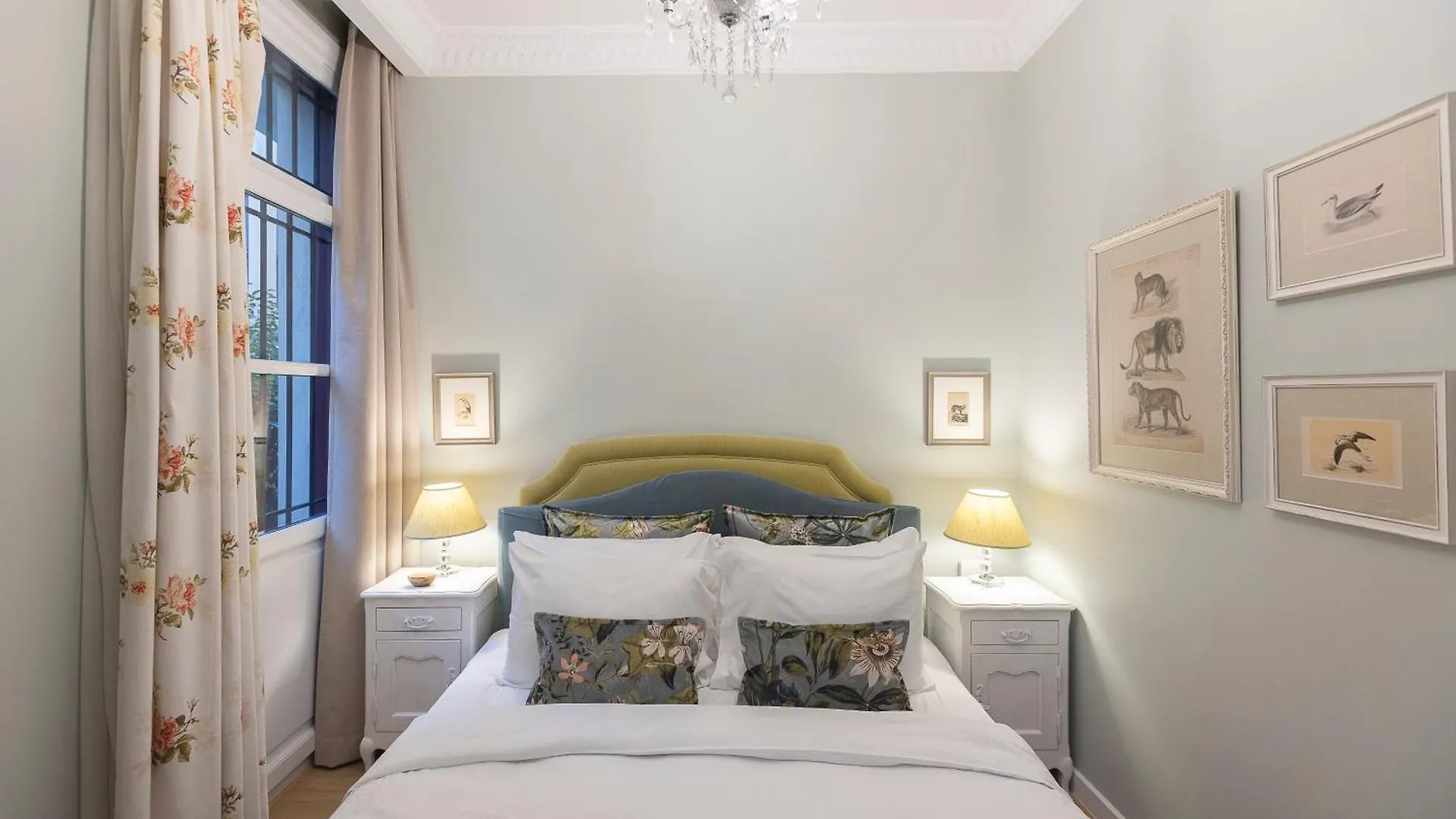 Gatto Perso Luxury Studio Apartments Greece